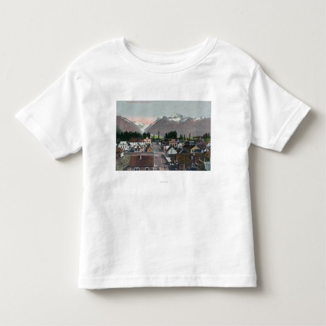 Den flyg- sommaren beskådar av CityValdezen, AK T Shirt (Framsida)