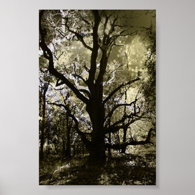 Den förföljda Träd Poster (Framsidan)