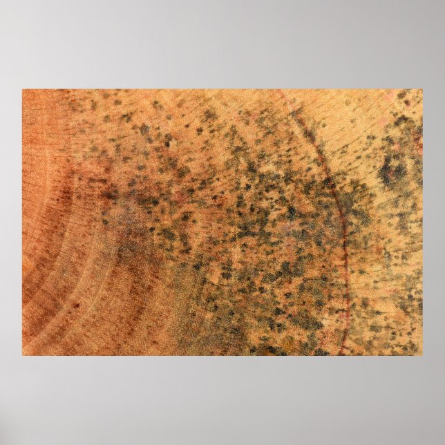 Den form som växer på brunträet yta är d poster (Framsidan)