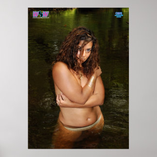 Den första Poster för 2016