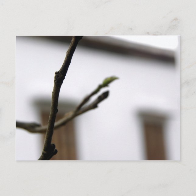 Den första vykort (Framsida)