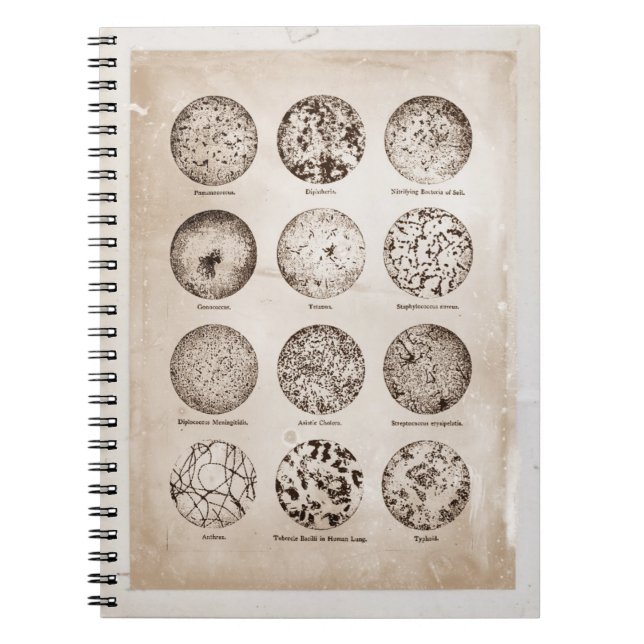 Den förstorade bakterievintagemedicinen kartlägger anteckningsbok (Framsidan)