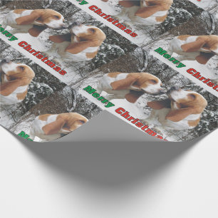 Den förtjusande basseten jagar glad Christmas. Presentpapper