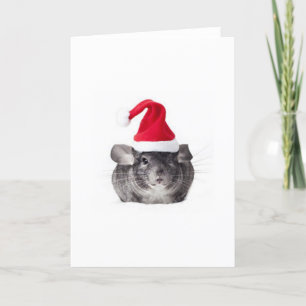 Den förtjusande chinchillaen Santa modellerar Helgkort