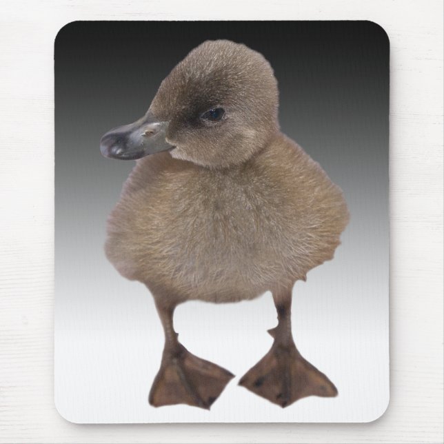 Den förtjusande gråa ducklingen fotograferar musmatta (Framsidan)