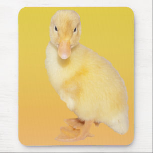 Den förtjusande gula ducklingen fotograferar musmatta