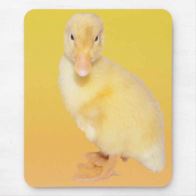Den förtjusande gula ducklingen fotograferar musmatta (Framsidan)