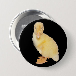 Den förtjusande gula Ducklingnärbilden Knapp