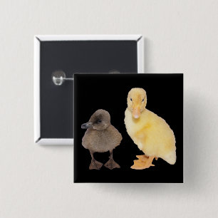 Den förtjusande gult- och gråttducklingen knapp