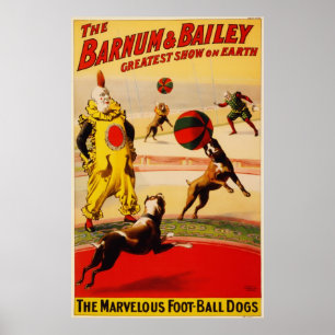 Den förträffliga affischen för Fot-Boll hundcirkus Poster
