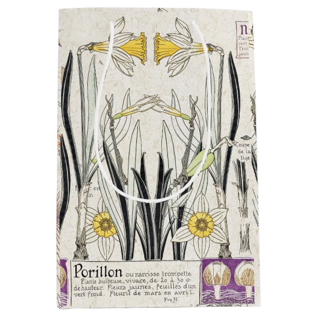 Den franska art nouveau blommar Collagegåvan (Framsidan)