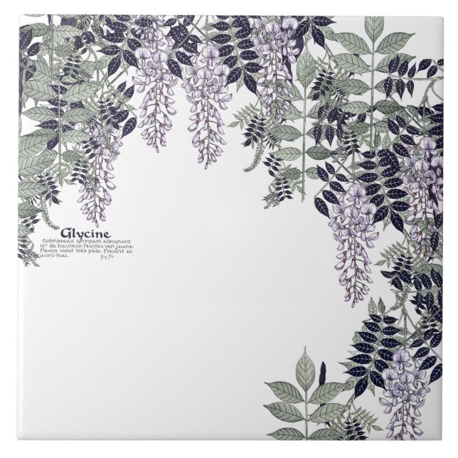 Den franska art nouveauwisteriaen blommar kakelplatta (Framsidan)