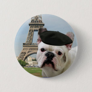 Den franska bulldoggen i Paris knäppas Knapp