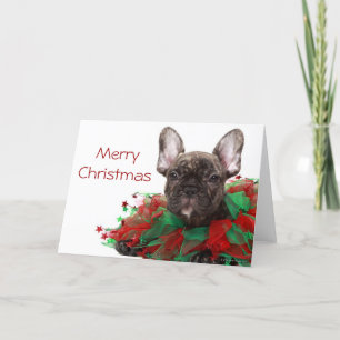 Den franska bulldoggen som ha på sig jul, förser helgkort