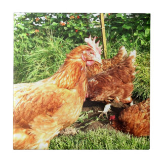 Den fria lycklig spänner före detta-batteriet kakelplatta