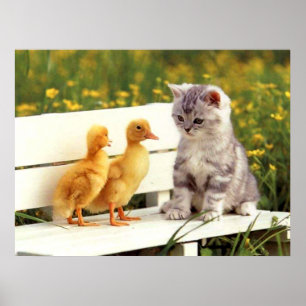 Den fula ankaaffischen poster