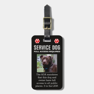 Den fulla tjänste- hunden - svart - tar fram det bagagebricka