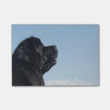 Den fundersama Inka postiten noterar