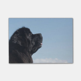 Den fundersama Inka postiten noterar Post-it Block