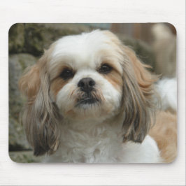 Den Furface musen vadderar Musmatta