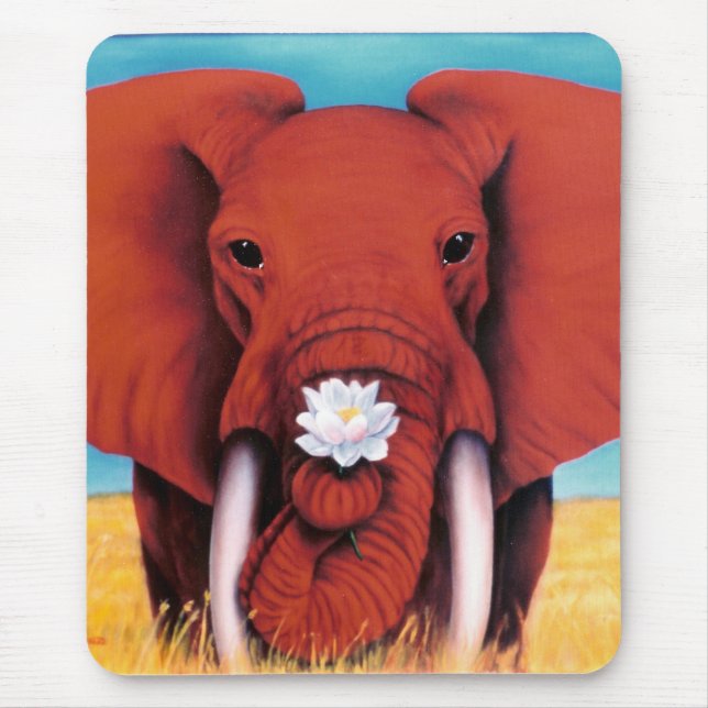 Den gallra fältmusen vadderar musmatta (Framsidan)