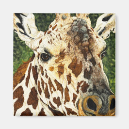 Den gamla Bachelor Giraffe Magnet