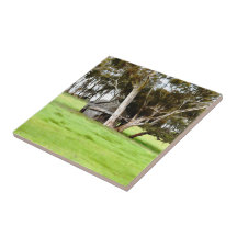 Den gamla keramiska plattan av trä