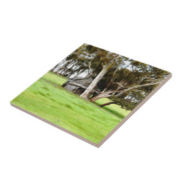 Den gamla keramiska plattan av trä kakelplatta