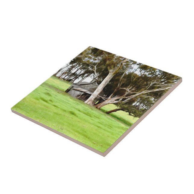 Den gamla keramiska plattan av trä kakelplatta (Sidan)