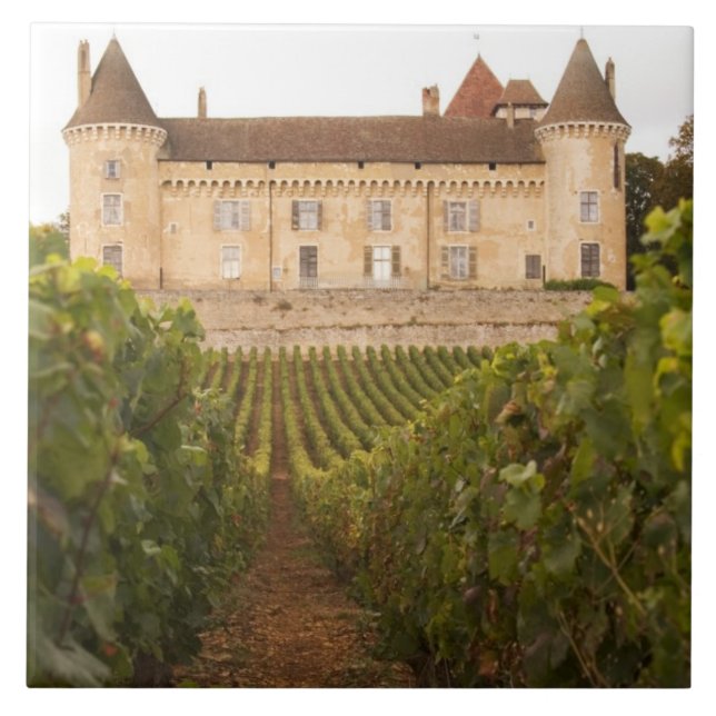 Den gamla medeltiden Chateau de Rully i Cote Kakelplatta (Framsidan)