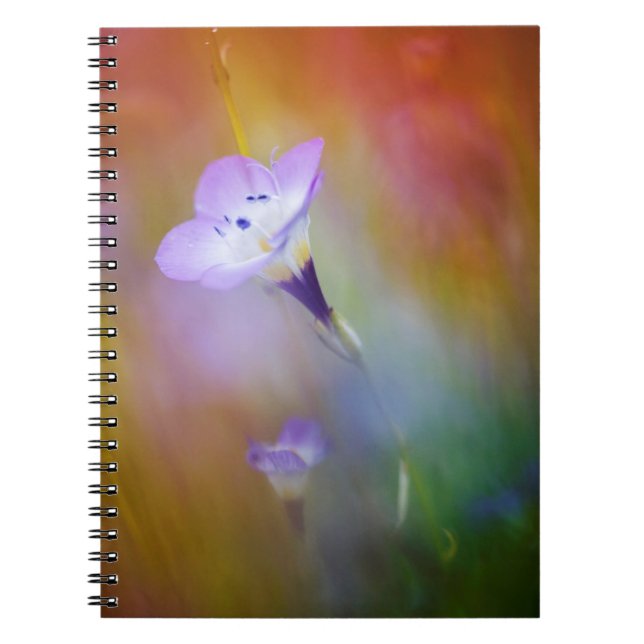 Den gamla punkten Loma fyr| Cabrillo Monument Anteckningsbok (Framsidan)