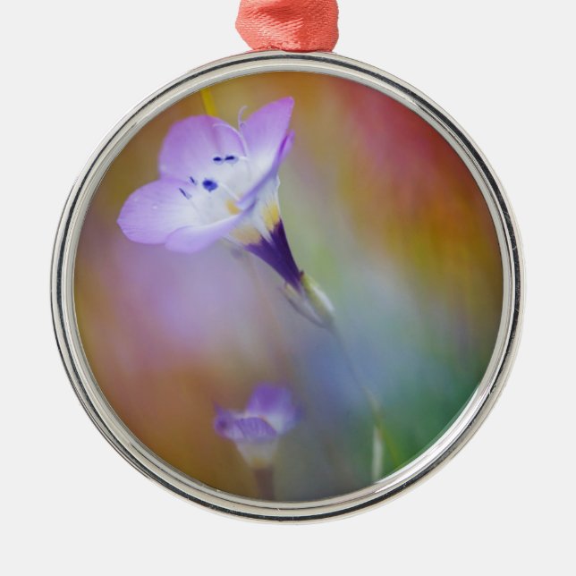 Den gamla punkten Loma fyr| Cabrillo Monument Julgransprydnad Metall (Framsidan)