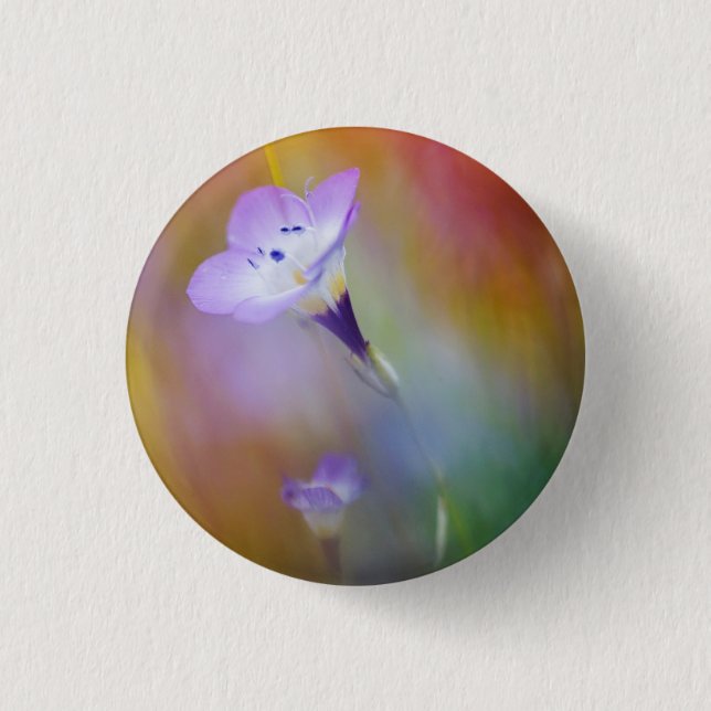 Den gamla punkten Loma fyr| Cabrillo Monument Knapp (Framsida)