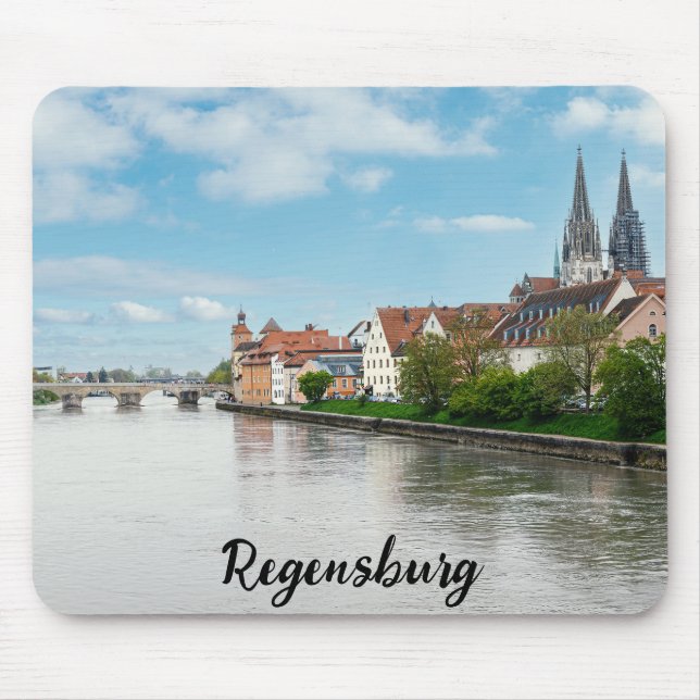 Den gamla staden Regensburg, Tyskland Musmatta (Framsidan)
