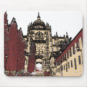 Den gamla staden Salamanca-katedralen Musmatta