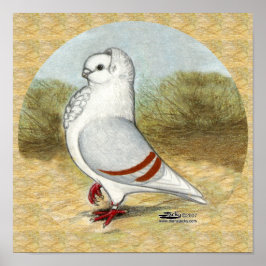 Den gamla tyska Uggla-duvan i rundan Poster