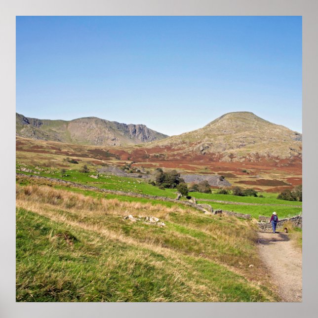 Den gamle mannen i Coniston vycard Cushion Poster (Framsidan)