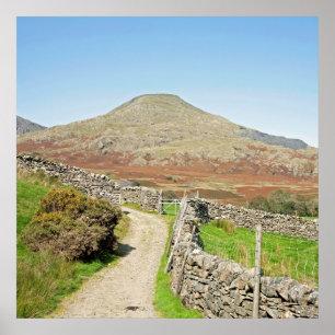 Den gamle mannen i Coniston vycard Cushion Poster