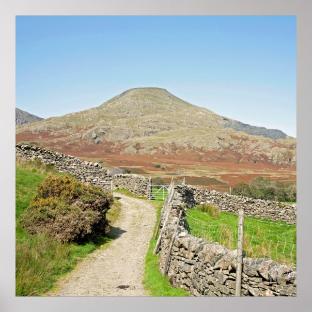 Den gamle mannen i Coniston vycard Cushion Poster (Framsidan)