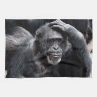 Den gammala schimpansen räcker handduken
