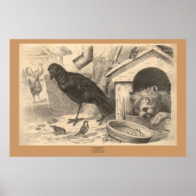 Den gemensamma himlen poster (Framsidan)