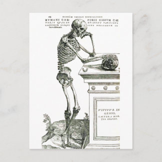 Den genomtänkta Skeleton Vykort