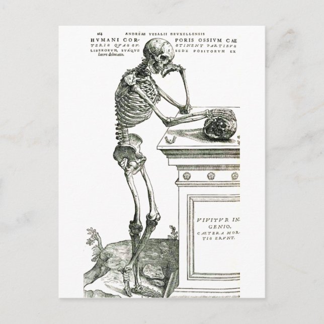 Den genomtänkta Skeleton Vykort (Framsida)