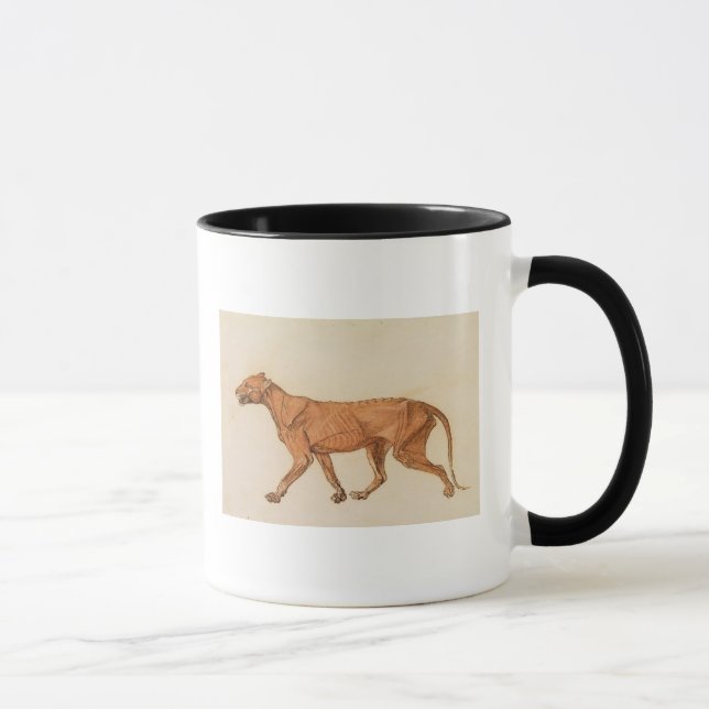 Den George Stubbs | tigern, Lateral beskådar, flår Mugg (Höger)