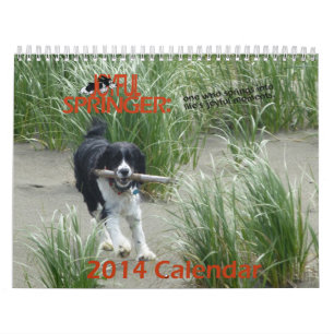 Den glatt kalendern för Springer 2014 Kalender