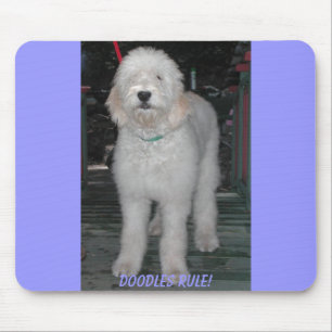 Den Goldendoodle musen vadderar Musmatta