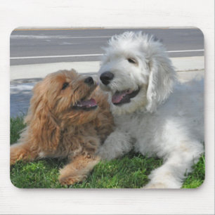 Den Goldendoodle vänmusen vadderar Musmatta