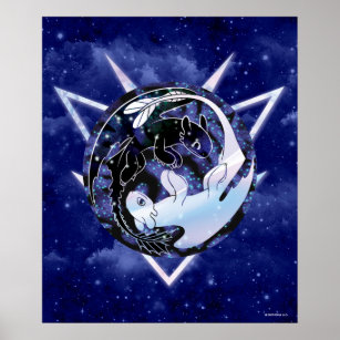 Den Gömt världen   Ikon för Natt & Light Fury Poster