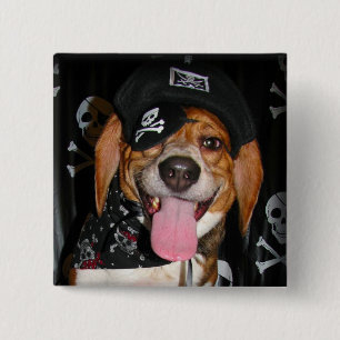 Den gotiska Beaglepirathunden knäppas Knapp