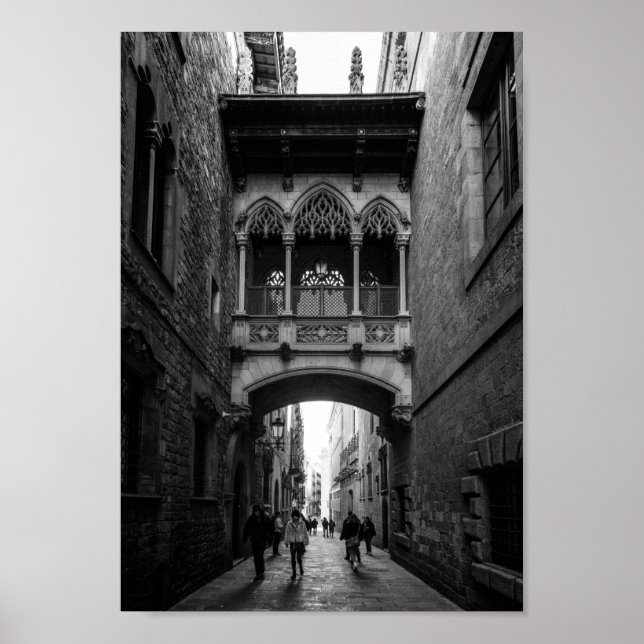 Den gotiska kvartersarkitekturen i Barcelona Poster (Framsidan)